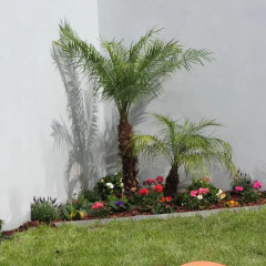 Отель Charming House Cedofeita