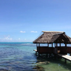 Отель Pension Motu Iti Папеэте приотельная территория фото 2