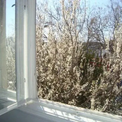 Riki Hostel балкон
