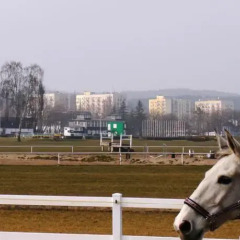 Отель Kartcenter Hostel Польша, Сопот - отзывы, цены и фото номеров - забронировать отель Kartcenter Hostel онлайн фото 2