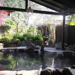 Отель Yumoto Miyoshi Ryokan Беппу фото 2