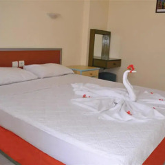 Eroglu Apart Hotel Турция, Сиде - отзывы, цены и фото номеров - забронировать отель Eroglu Apart Hotel онлайн комната для гостей фото 2