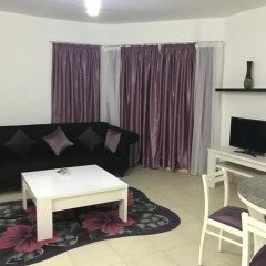 Апартаменты Regency Towers Apartments комната для гостей фото 2