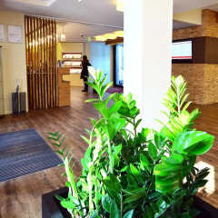 Отель Parkhotel Brunauer Австрия, Зальцбург - отзывы, цены и фото номеров - забронировать отель Parkhotel Brunauer онлайн спа фото 2