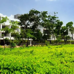 Отель Pure All Suites Riviera Maya Плая-дель-Кармен фото 2