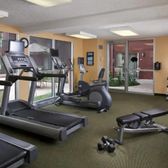 Отель Courtyard by Marriott New Orleans Downtown/Convention Center США, Новый Орлеан - отзывы, цены и фото номеров - забронировать отель Courtyard by Marriott New Orleans Downtown/Convention Center онлайн фитнесс-зал