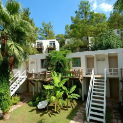Отель Club Phaselis 5* Стандартный номер с двуспальной кроватью фото 2