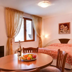 Отель Mountain Lodge Aparthotel 3* Студия