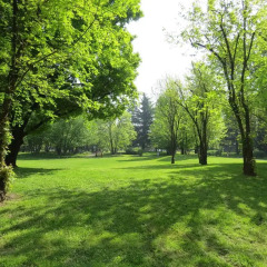 Отель B&B Milano3 Базильо фото 3
