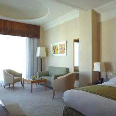 Отель Holiday Inn Cairo Citystars 4* Стандартный номер с различными типами кроватей фото 3