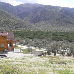 Natureland Efes 3* Стандартный номер с различными типами кроватей фото 23