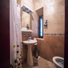Апартаменты Apartments Villa Ferri Студия с различными типами кроватей фото 29
