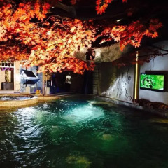 Junyue Internation Hotel бассейн фото 3