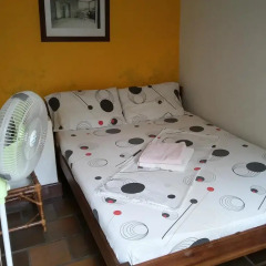 Iguana Hostel Cali детские мероприятия