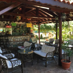 Отель Oleander House and Tennis Club Болгария, Солнечный берег - отзывы, цены и фото номеров - забронировать отель Oleander House and Tennis Club онлайн гостиничный бар