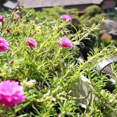 Hotel Alley фото 4