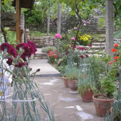 Отель Hostel Lorenc Албания, Берат - отзывы, цены и фото номеров - забронировать отель Hostel Lorenc онлайн фото 13