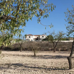 Отель B&B La Casa Blanca Barbarroja Ориуэла парковка