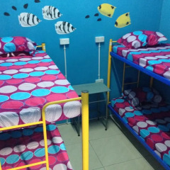 Отель Bubble Backpackers Semporna Кровать в общем номере с двухъярусной кроватью