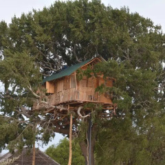 Отель Yala Dream Park Шри-Ланка, Тиссамахарама - отзывы, цены и фото номеров - забронировать отель Yala Dream Park онлайн фото 8
