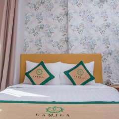 Camila Hotel 3* Номер Делюкс с двуспальной кроватью фото 2