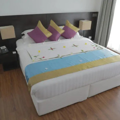 Отель Plumeria Maldives 4* Номер Делюкс с различными типами кроватей фото 3