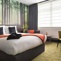 Отель Arbor City 4* Улучшенный номер с различными типами кроватей фото 2