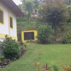 Отель Villa Paola Jamaica