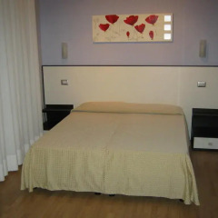 Hotel Faenza Стандартный номер с двуспальной кроватью