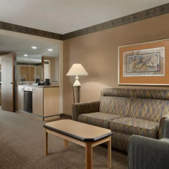 Отель Embassy Suites by Hilton Convention Center Las Vegas 3* Люкс с различными типами кроватей фото 4
