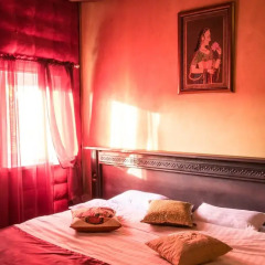 India Palace Hotel комната для гостей фото 2