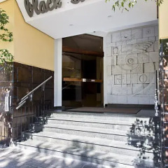 Отель Black Stream Hotel Бразилия, Рибейран-Прету - отзывы, цены и фото номеров - забронировать отель Black Stream Hotel онлайн сауна