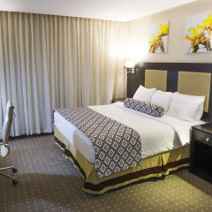 Olive Tree Hotel Amman 4* Стандартный номер с двуспальной кроватью