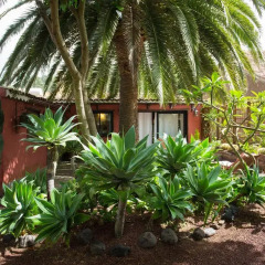 Отель Casa Palmera