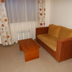 Апартаменты Apartment Pere Toshev Bansko Студия фото 2