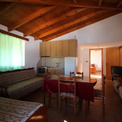 Апартаменты Vila Caushi (Rooms&Apartments) в номере фото 2
