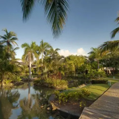 Отель Melia Caribe Tropical - Все включено Доминикана, Пунта Кана - 9 отзывов об отеле, цены и фото номеров - забронировать отель Melia Caribe Tropical - Все включено онлайн фото 5
