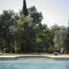 Отель Agriturismo Tra gli Ulivi Кастаньето-Кардуччи бассейн фото 3