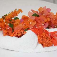 Отель The Gardenia Resort в номере фото 2