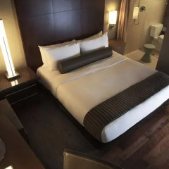 Dana Hotel and Spa 4* Стандартный номер с различными типами кроватей фото 11