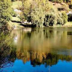 Отель The Lake Villa 3* Вилла с разными типами кроватей фото 34