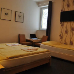 Hotel Svornost 3* Стандартный номер с различными типами кроватей фото 14