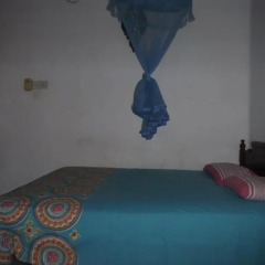 New negombo beach hostel комната для гостей фото 4
