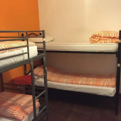 Coconuts Female Hostel (хостел для женщин) детские мероприятия фото 2