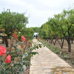 Отель Mazi Sahil Pansiyon Торба