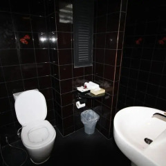 Hotel Alley 3* Улучшенный номер с двуспальной кроватью фото 17