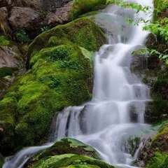 Отель Homestay Süllü Dağ Evi Гиресун фото 17