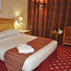 Grand Continental Flamingo Hotel 3* Стандартный номер фото 4
