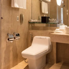 Отель Holiday Inn Bangkok Бангкок ванная