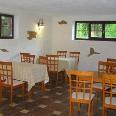 Гостиница Дубки 3* Стандартный номер с различными типами кроватей фото 8